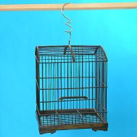 CAGE