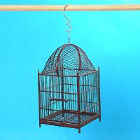 CAGE