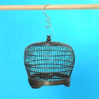 CAGE